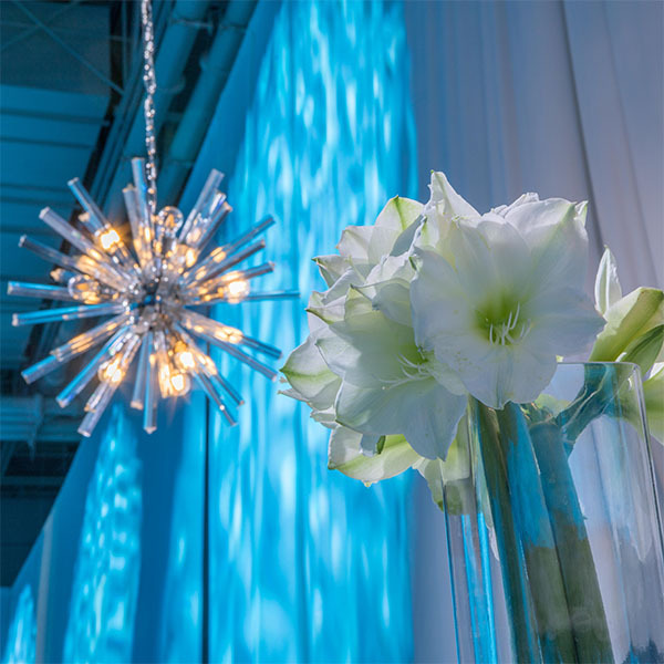 年会活动策划的变革，以蝴蝶的蝶变正式开始序章