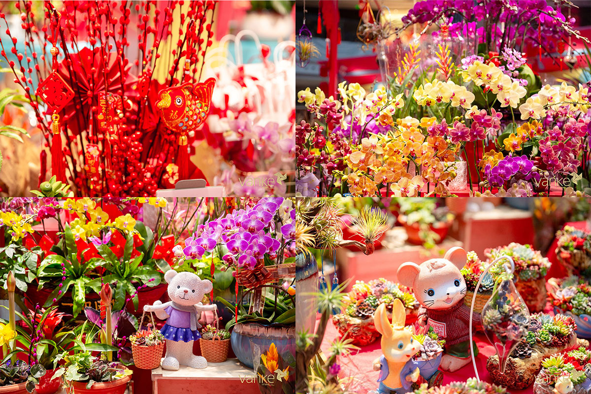 年宵花市活动正式大吉开市,鸣锣闹新春了,抓紧时间来围观吧