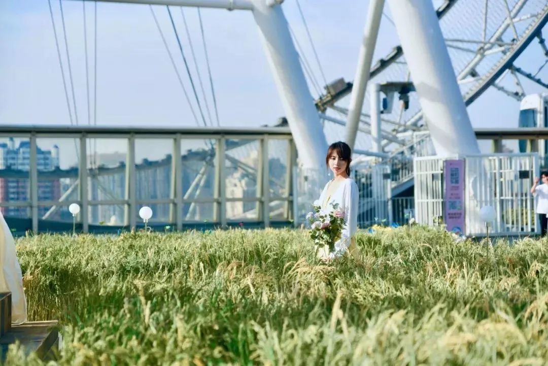 春暖花开，疫情后这些商场展览活动或许能为你增加些许暖意 美陈网站 美陈前沿 