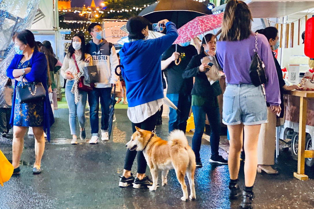 安义夜巷六大板块全面升级，重解锁多元文化和趣味互动社交生活场