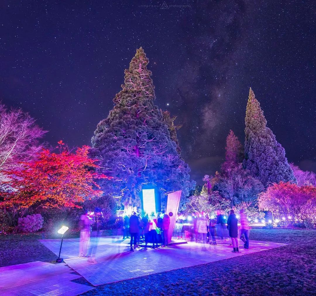 看这个展览活动策划的艺术装置The Walk of Wonders，互动体验超强 美陈网站 美陈前沿 